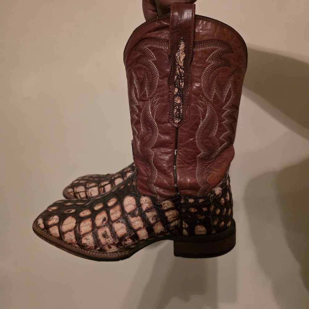 Dan Post Brown and Tan Western Boots
